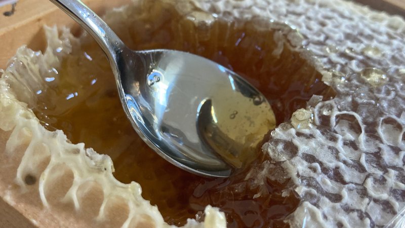 Ein Löffel holt Honig direkt aus der Honigwabe