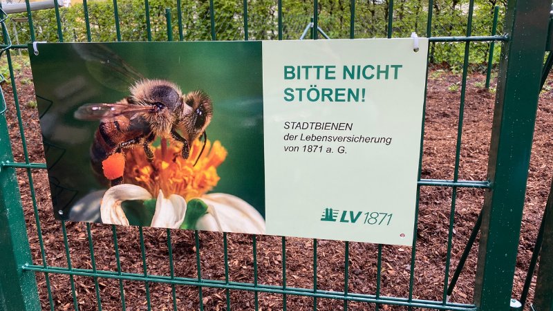 Schild mit der Aufschrift Bitte nicht stören, Stadtbienen der LV 1871